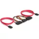 DeLock SATA All-in-One cable for 2x HDD
