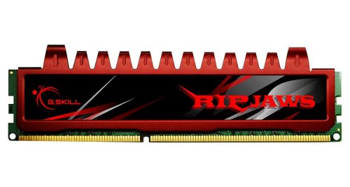 G.SKILL 4GB DDR3 1066MHz Ripjaws
