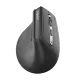 Rapoo EV310M Ergonomic Wireless Bluetooth Egér Fekete