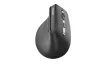 Rapoo EV310M Ergonomic Wireless Bluetooth Egér Fekete