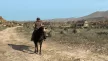 Red Dead Redemption PS4 (használt, karcmentes)
