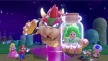 Super Mario 3D World + Bowsers Fury Switch