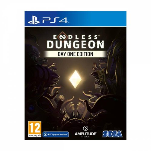 Endless Dungeon Day One Edition PS4