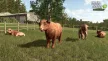 Farming Simulator 25: Highlands Fishing Edition Xbox Series X