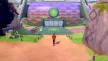 Pokémon Shield Switch