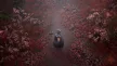 Silent Hill F Day One Edition Xbox Series X